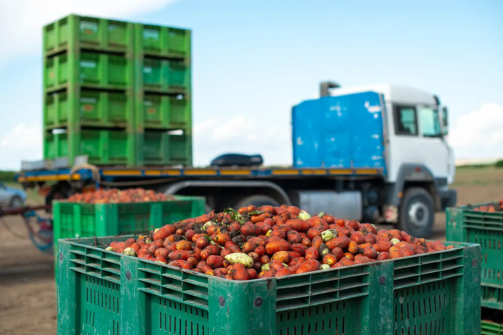 Transport von Lebensmitteln Transport von Lebensmitteln